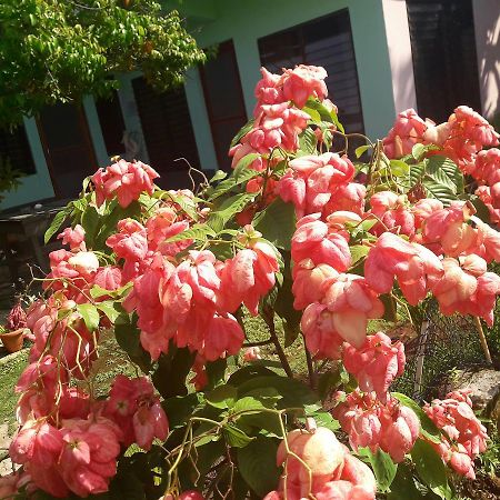 Villy'S Cottage North End Ngoại thất bức ảnh